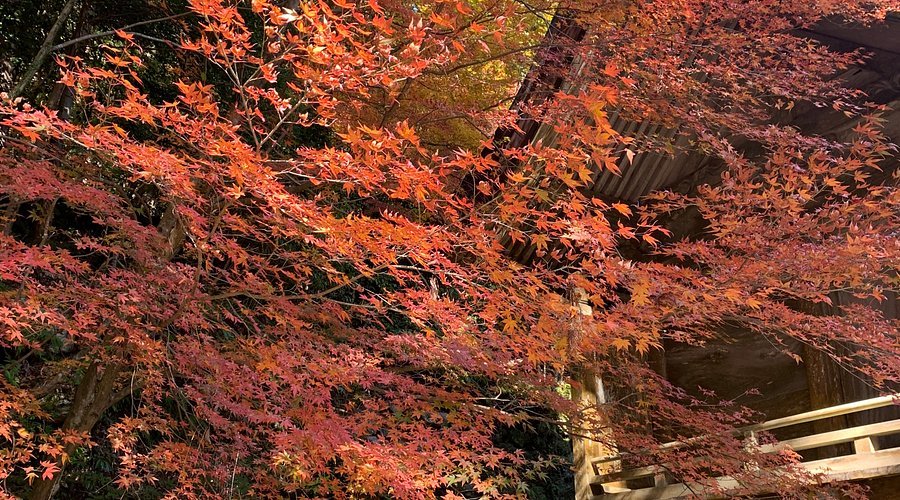 ⛩️ 니이야마 신사 (니이야마 진자)